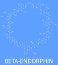 Beta-endorphin molecule. Skeletal formula. Royalty Free Stock Photo