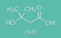 Beta-hydroxy beta-methylbutyric acid (HMB) leucine metabolite molecule. Used as supplement, may increase strength and muscle mass Royalty Free Stock Photo