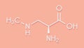 beta-Methylamino-L-alanine BMAA toxic amino acid molecule. Produced by cyanobacteria. Skeletal formula.