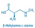 beta-Methylamino-L-alanine or BMAA toxic amino acid molecule. Produced by cyanobacteria. Skeletal formula.