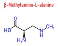 beta-Methylamino-L-alanine or BMAA toxic amino acid molecule. Produced by cyanobacteria. Skeletal formula.