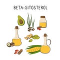 Beta-sitosterol-containing food. Groups of healthy products containing vitamins and minerals. Set of fruits, vegetables