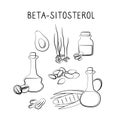 Beta-sitosterol-containing food. Groups of healthy products containing vitamins and minerals. Set of fruits, vegetables