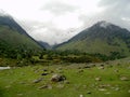 Betaab Valley,Kashmir