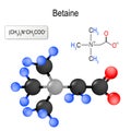 Betaine. Structure of a molecule.