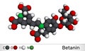 Betanin, molecule. It is betalain plant pigment, red glycosidic food dye, E162. Molecular model. 3D rendering