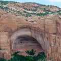 Betatakin Cliff Dwelling in Navajo National Monument