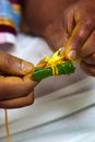 Betel Leaf and Areca Nut Royalty Free Stock Photo