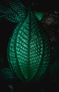 Betel Leave Royalty Free Stock Photo