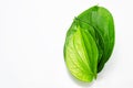 Betel leave Royalty Free Stock Photo