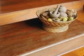 Betel nut tray