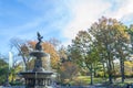 The Bethesda fountain in an autumn morning Royalty Free Stock Photo