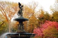 Bethesda Fountain, Central Park