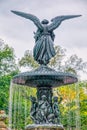 Bethesda Fountain in the Central Park, New York