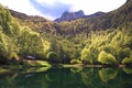 Bethmale Pond / Lac de Bethmale Royalty Free Stock Photo