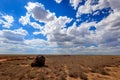 Betpakdala steppe southern kazakhstan