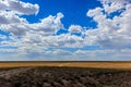 Betpakdala steppe southern kazakhstan Royalty Free Stock Photo