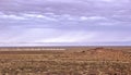 Betpakdala-steppe in southern Kazakhstan