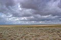 Betpakdala steppe southern kazakhstan