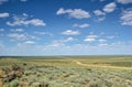 Betpakdala steppe southern kazakhstan