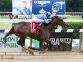 Betsy Blue and Irad Ortiz winning the Bouwerie Stakes Royalty Free Stock Photo