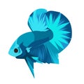 Betta Blue HM Logo Vector Design