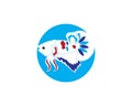 Betta fish logo vector template Royalty Free Stock Photo
