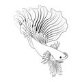 Betta fish or Siamese fighter, black and white hand drawn design in simple Royalty Free Stock Photo