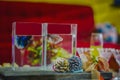 Betta fish, siamese fighting fish, in a rectangular aquarium, place it on a wooden table filled with decorations and glass