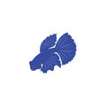 Betta fish silhouette on white background Royalty Free Stock Photo