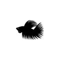 Betta fish vector silhouette Royalty Free Stock Photo