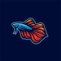 Betta fish vector. beautiful red and blue betta fish fighter guppy logo mascot design Vector