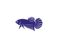 Betta fish vector illustration, fighting fish logo design template