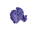 Betta fish vector illustration, fighting fish logo design template