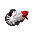 Betta Fish Vector