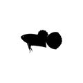 Betta fish vector silhouette Royalty Free Stock Photo