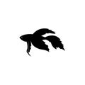 Betta fish vector silhouette Royalty Free Stock Photo