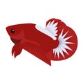 Betta Hellboy Logo Vector Design Royalty Free Stock Photo