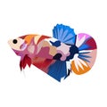 Betta Multycolor Logo Vector Design Royalty Free Stock Photo