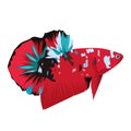 Betta Nemo Logo Vector Design Royalty Free Stock Photo