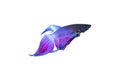 Betta Splendens Royalty Free Stock Photo