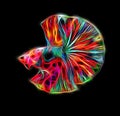 Betta splendens fish in beautiful fractal light effect 10