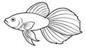 Bette Fish Vector Illustration for Your Design Needs Royalty Free Stock Photo