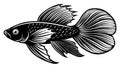 Bette Fish Vector Illustration for Your Design Needs Royalty Free Stock Photo