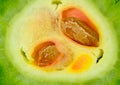 Better Melon Peria Katak Royalty Free Stock Photo