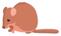 Bettong animal , illustration, vector Royalty Free Stock Photo