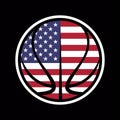 grunge baseball, softball, volleyball, golf ball, basketball with usa flag vector Royalty Free Stock Photo