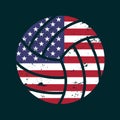 grunge baseball, softball, volleyball, golf ball, basketball with usa flag vector Royalty Free Stock Photo