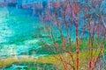 Betula albosinensis with colorful lake background