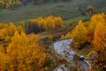 Betula platyphylla forest in Xinjiang